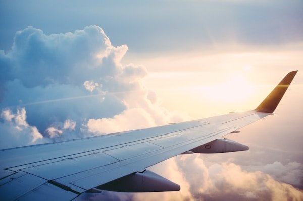 Business & Conference Visas